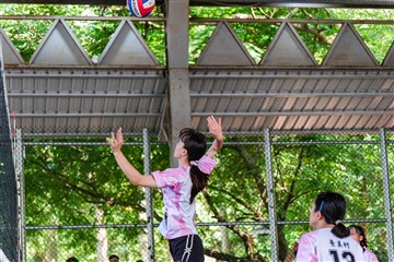 排球-20260621