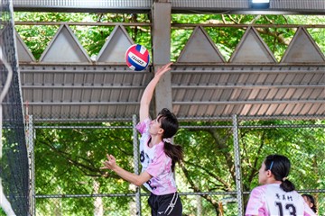 排球-20260621