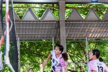 排球-20260621