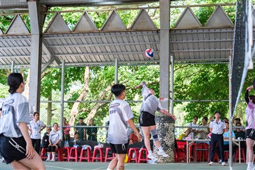 排球-20260621