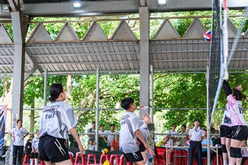 排球-20260621