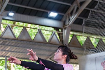 排球-20260621