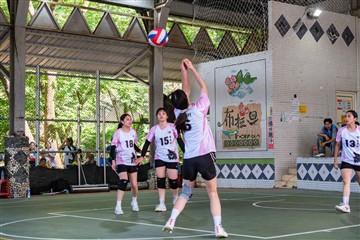 排球-20260621