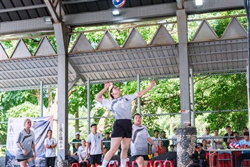 排球-20260621