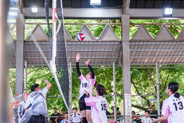 排球-20260621
