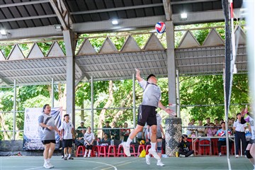 排球-20260621