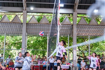 排球-20260621