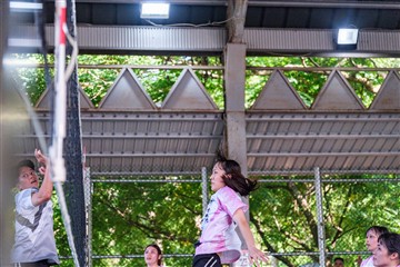 排球-20260621