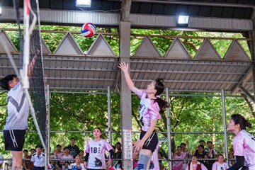 排球-20260621
