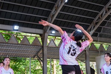 排球-20260621