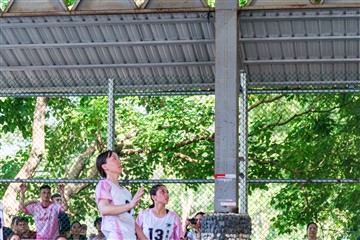 排球-20260621