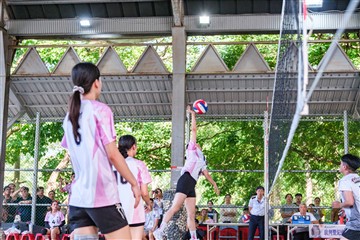 排球-20260621