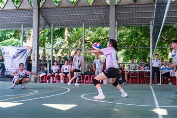 排球-20260621