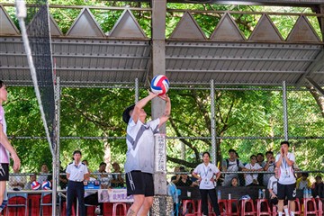 排球-20260621