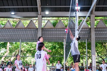 排球-20260621