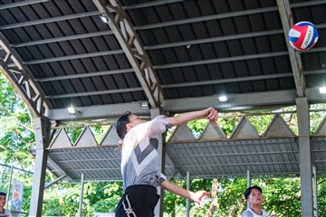 排球-20260621
