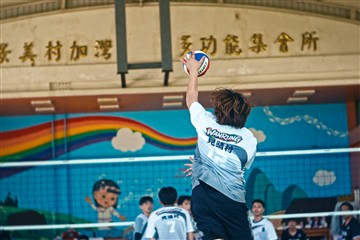 排球-20260621