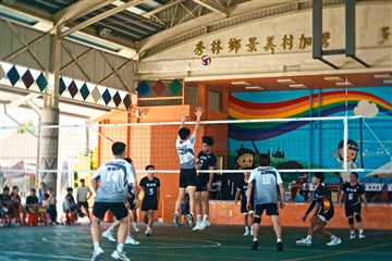 排球-20260621