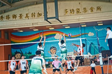 排球-20260621
