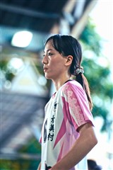 排球-20260621