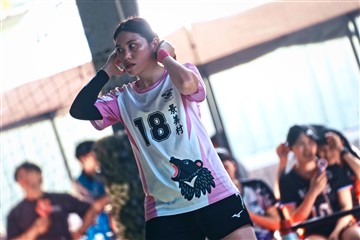 排球-20260621