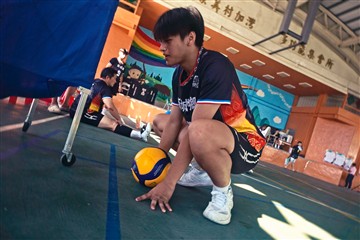 排球-20260621