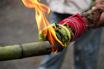 母火